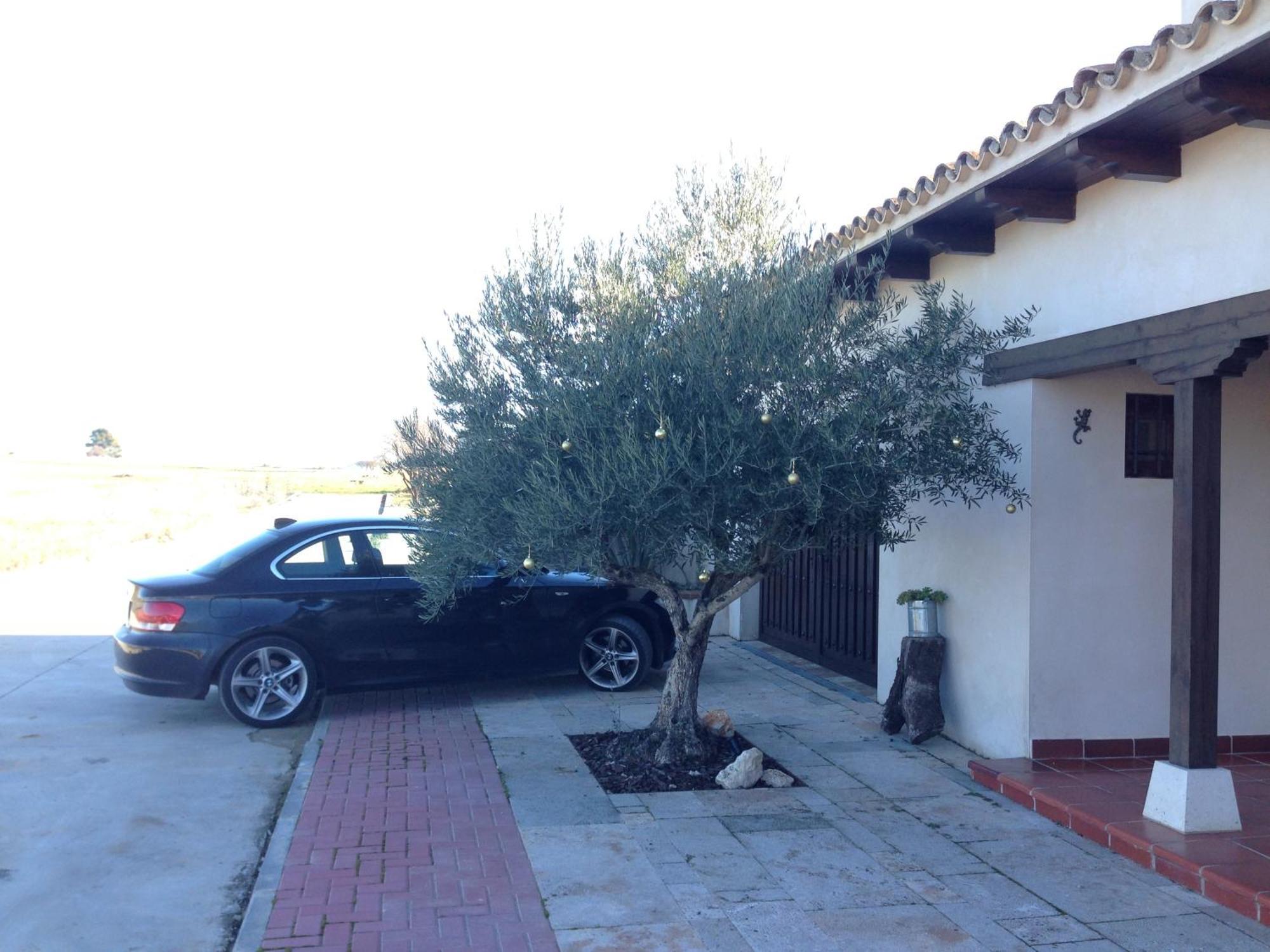 La Pena Del Gato Villa Buendia Exterior photo