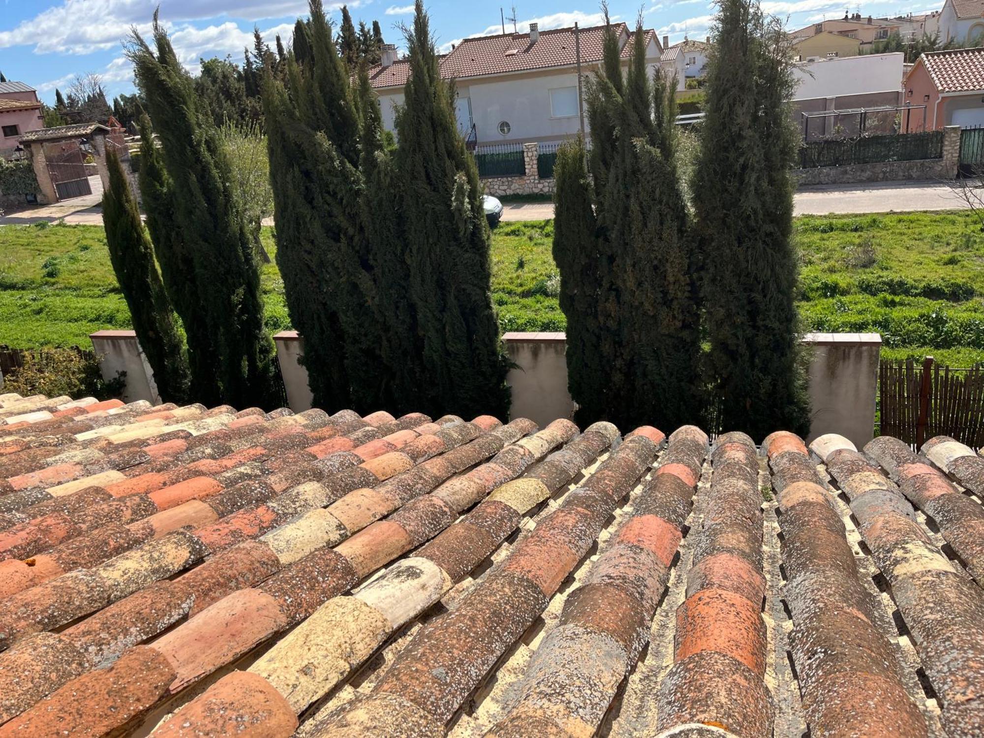 La Pena Del Gato Villa Buendia Exterior photo